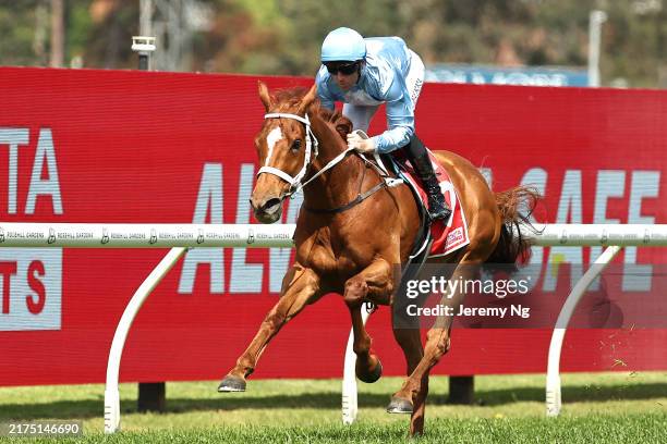 Tom Derry Racing 17,108 Stephen Derby Stock Photos, High-Res Pictures, and Images ...