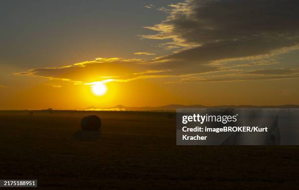 Marchfeld 111 Marchfeld Stock Photos, High-Res Pictures, and Images - Getty Images