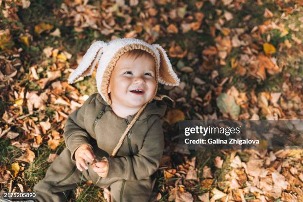 cute baby boy in the autumn park - warm clothing stock pictures, royalty-free photos & images