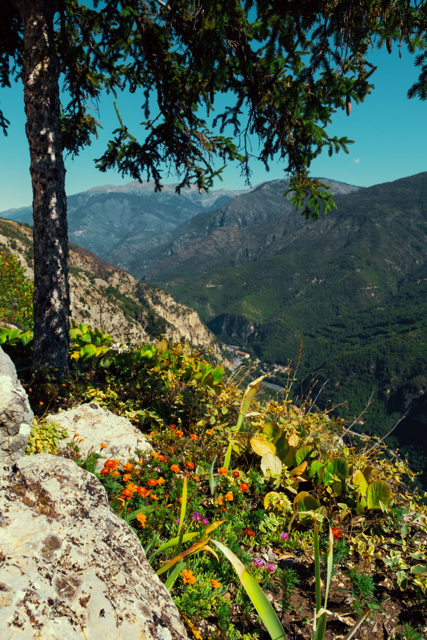 alpes maritimes paysage