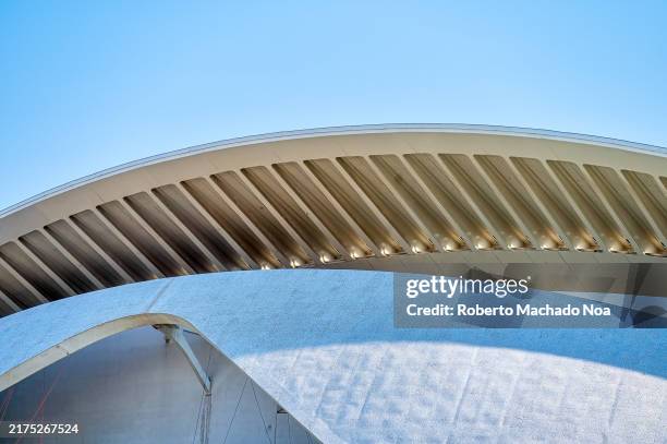 The City of Arts and Sciences. Rooftop architectural feature of the Palau de les Arts Reina Sofía, a renowned site designed by Santiago Calatrava.