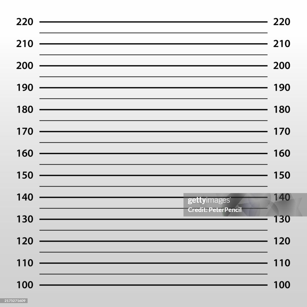 Police Mugshot Template - Lineup Mugshot Background - Shot Up Photo for Arrest - Background for Criminal Photos - Vector Illustration