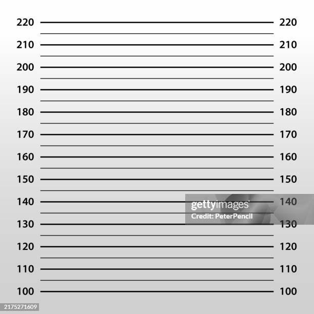 police mugshot template - lineup mugshot background - shot up photo for arrest - background for criminal photos - vector illustration - office desk background stock illustrations