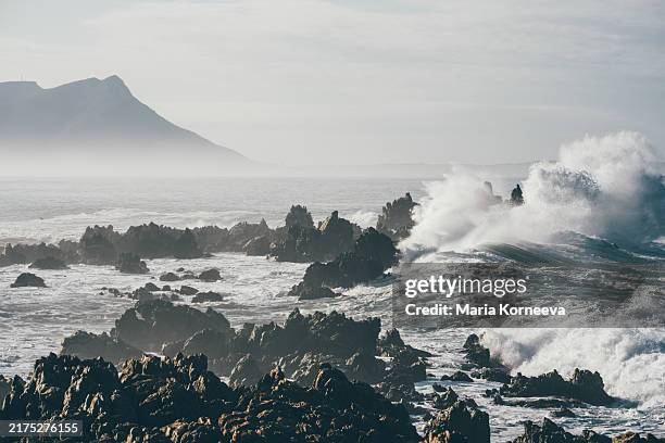 coast at robberg nature reserve in south africa. - waves crashing on rocks stock pictures, royalty-free photos & images