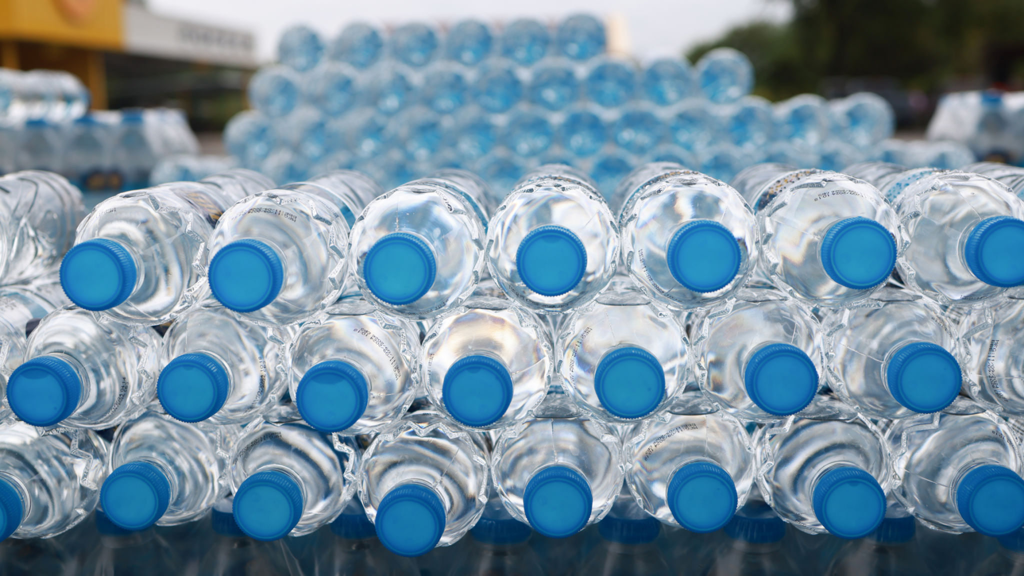 water bottle