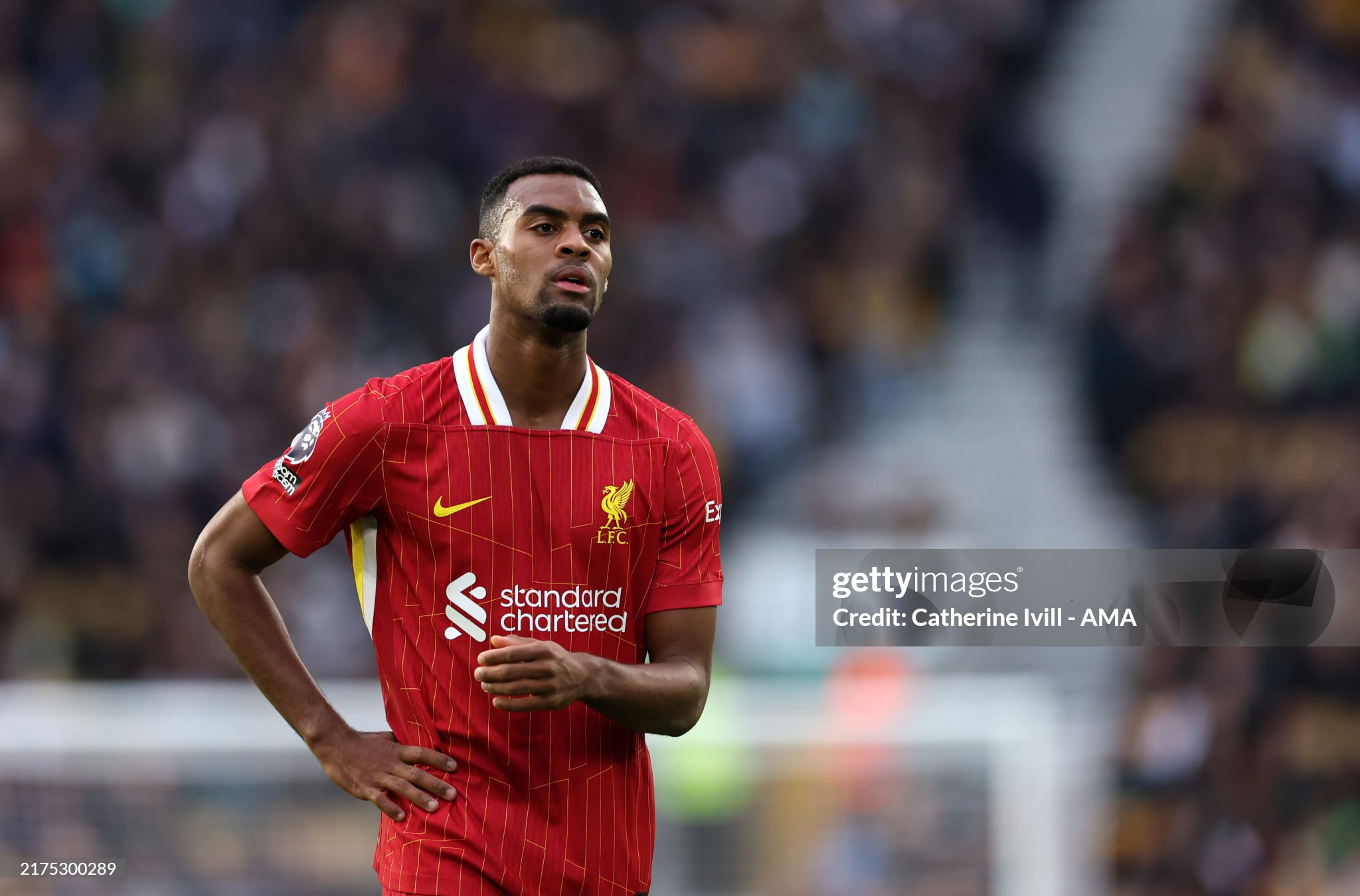 Revived Gravenberch has a chance at an individual award in the Premier League