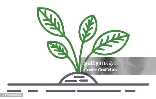 Simple Line Art of a Growing Plant with Leaves Simple Line Art of a Growing Plant with Leaves