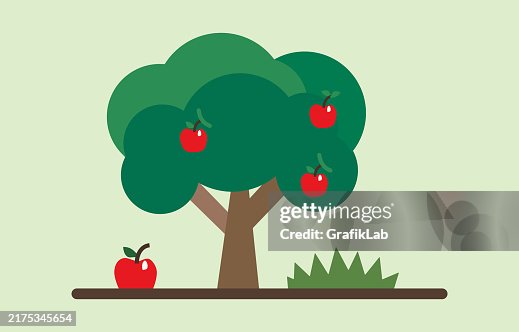 Red Apple Tree Red Apple Tree