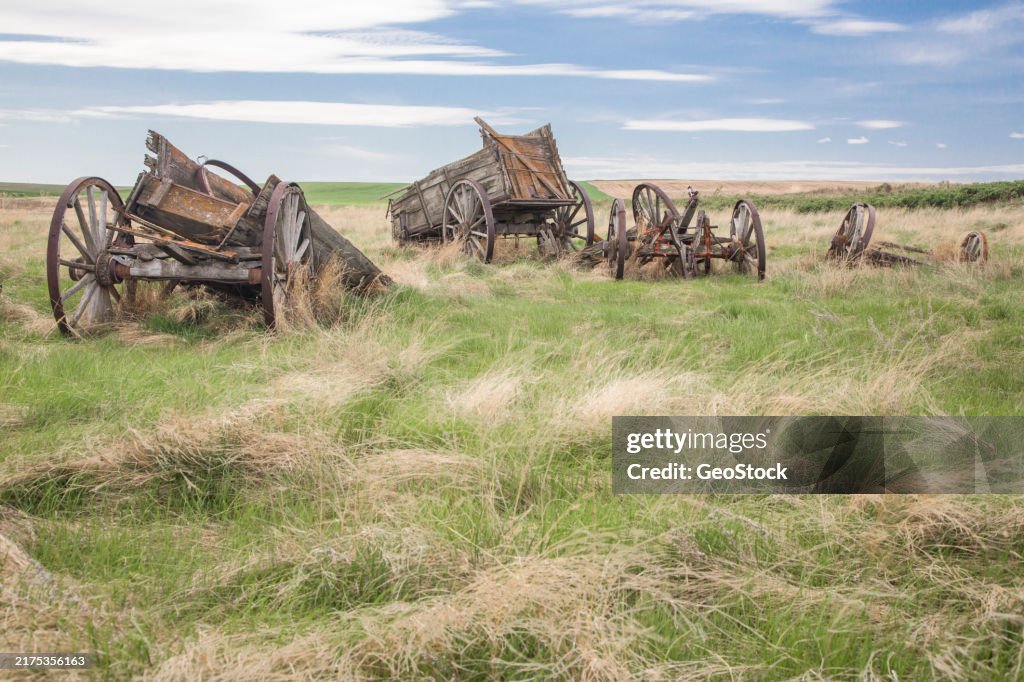 Old wooden wagons rotting in a field