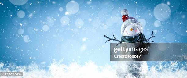 snowman in winter landscape - non urban scene stock pictures, royalty-free photos & images