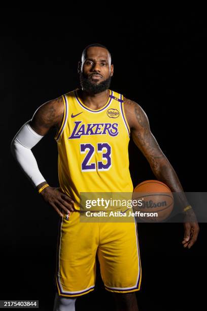 James 4,141 Lebron James Portraits Stock Photos, High-Res Pictures, and ...