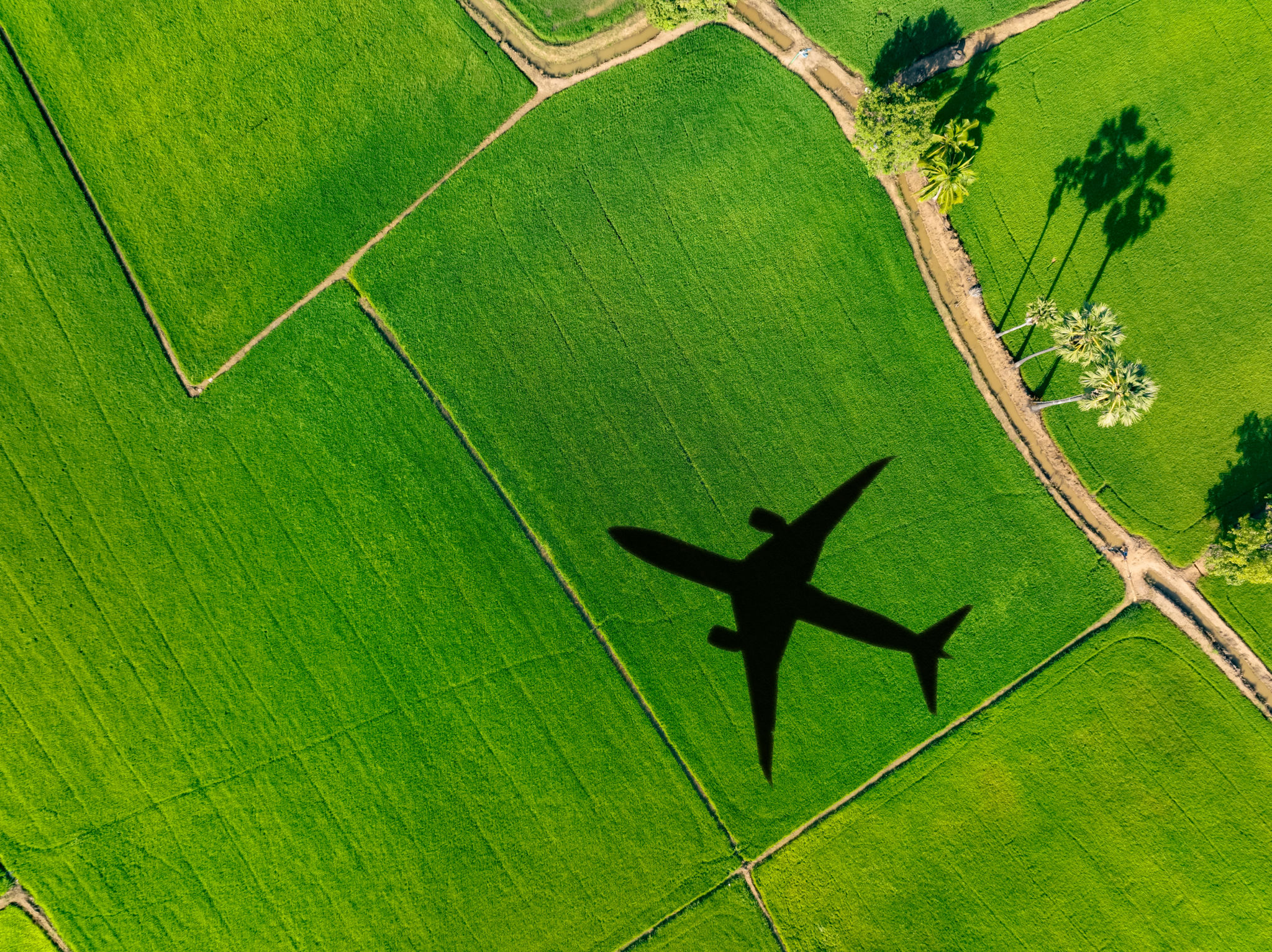 green aircraft