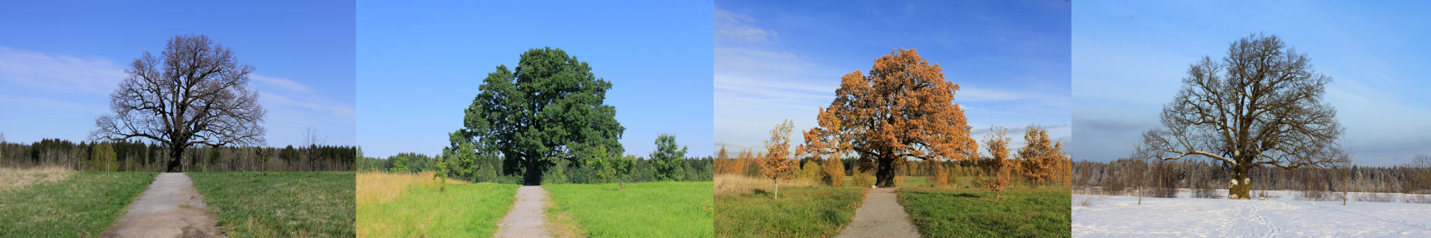 changing seasons