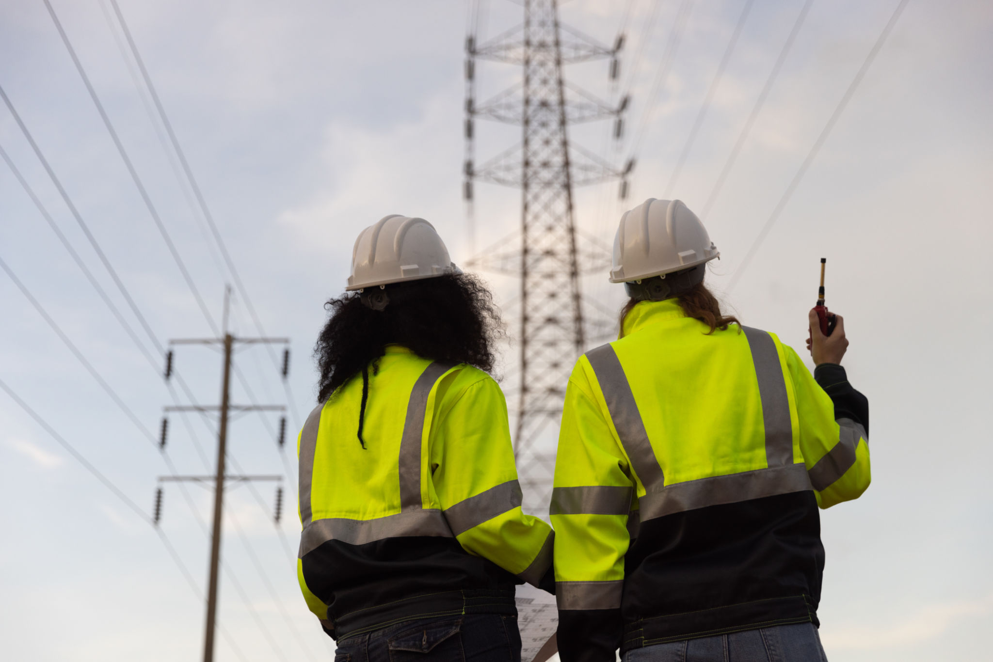 power grid inspection