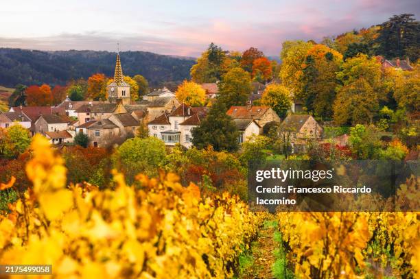 france, burgundy. village and autumn colors - burgundy france stock pictures, royalty-free photos & images