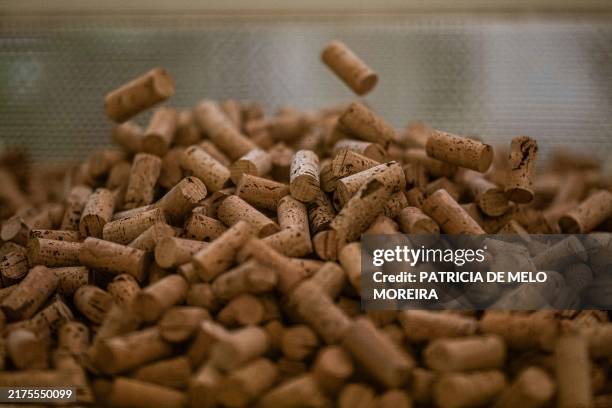 Corks are pictured at the Amorim cork factory in Mozelos, near Santa Maria da Feira, north of Portugal on September 10, 2024. World's leading...