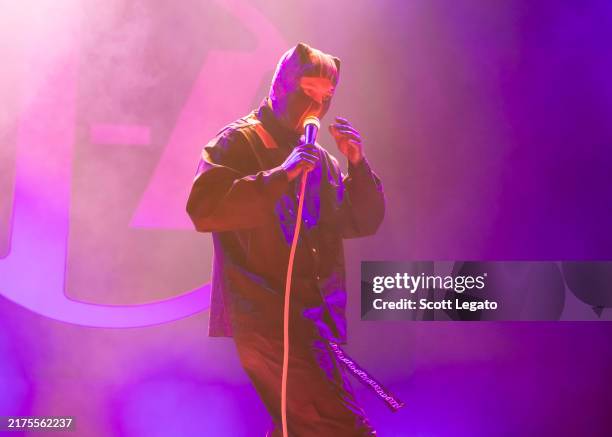 2,364 Twenty One Pilots In Concert Stock Photos, High-Res Pictures