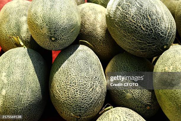 Cantaloupe for sale at a market in Qingdao, east China's Shandong province, Oct 3, 2024.