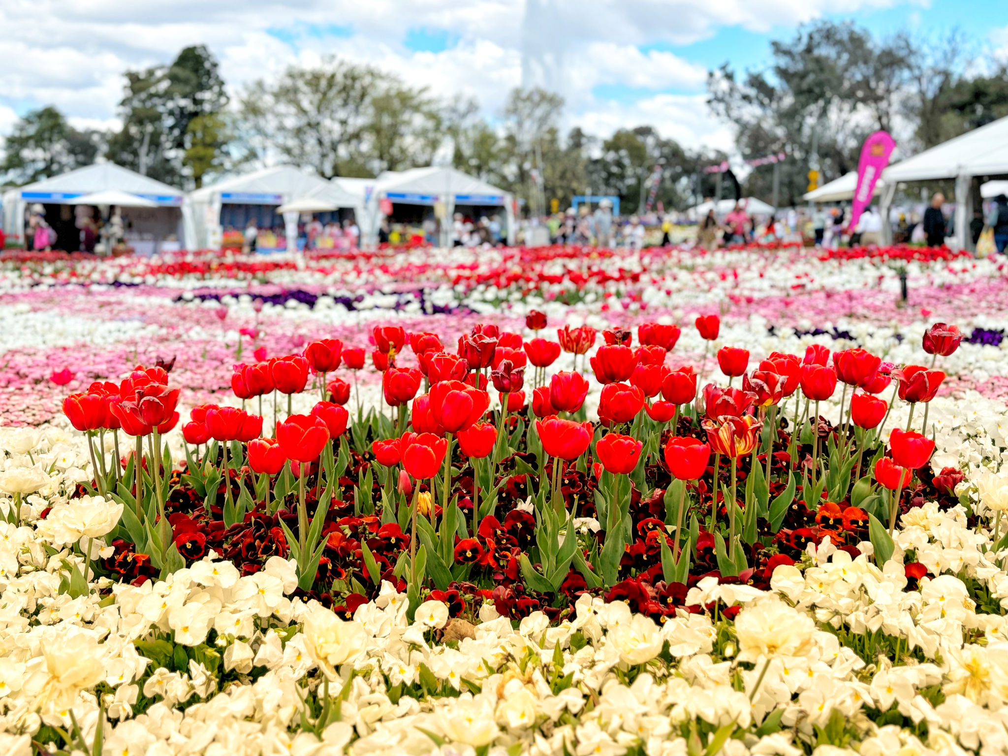 canberra garden