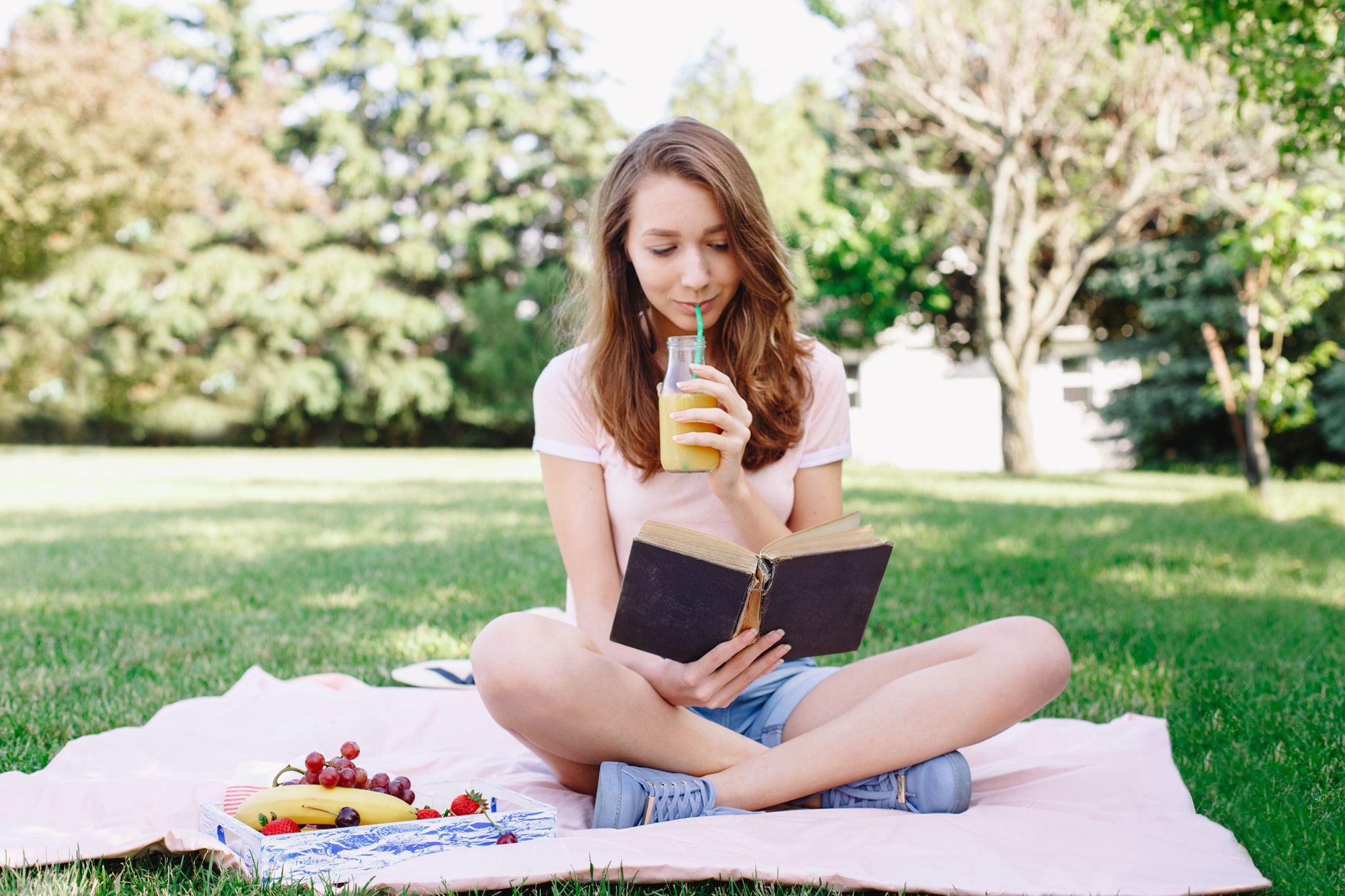 picnic blanket