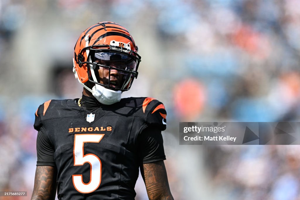 Cincinnati Bengals v Carolina Panthers