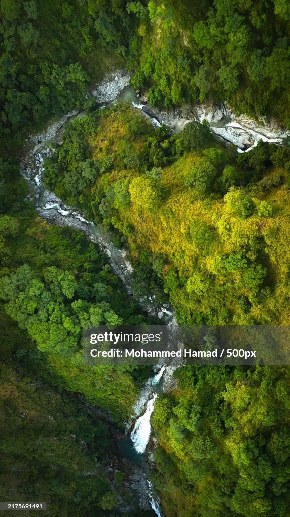 High angle view of stream flowing in forest,Kyela,Tanzania