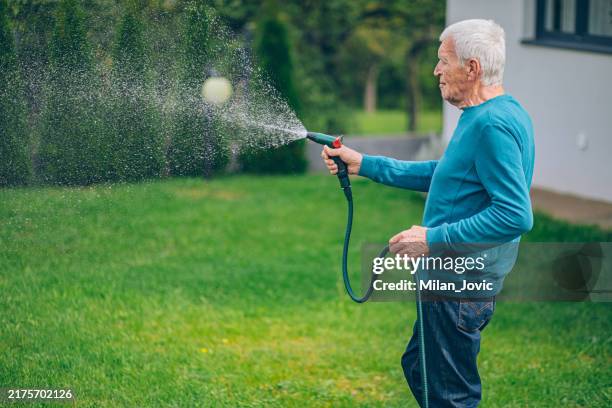 älterer mann bei der bewässerung des gartens mit gartenschlauch - wasserschlauch stock-fotos und bilder