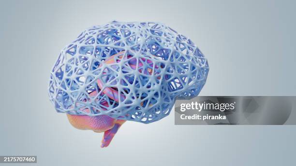 1,746 2d Brain Stock Photos, High-Res Pictures, and Images - Getty Images