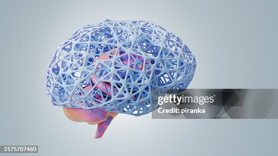 Brain wireframe Brain wireframe