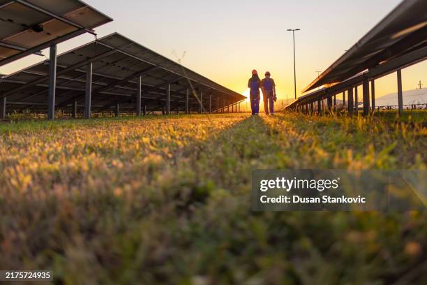 employees walking at solar power farm - sustainable farm stock pictures, royalty-free photos & images