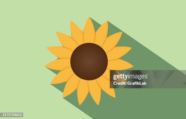 stockillustraties, clipart, cartoons en iconen met minimalist sunflower illustration - zonnebloemen