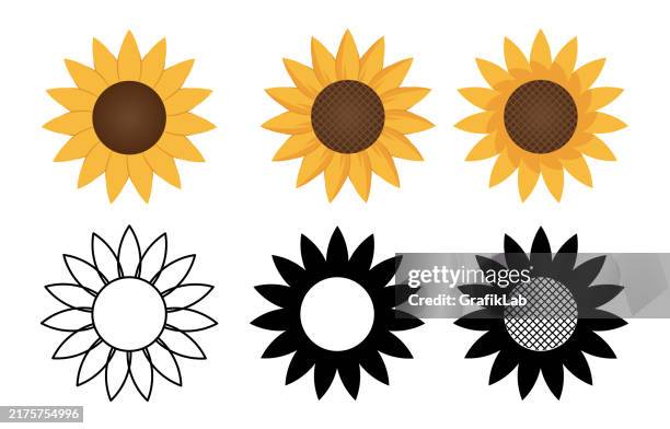 stockillustraties, clipart, cartoons en iconen met sunflower illustration set in different styles - zonnebloemen