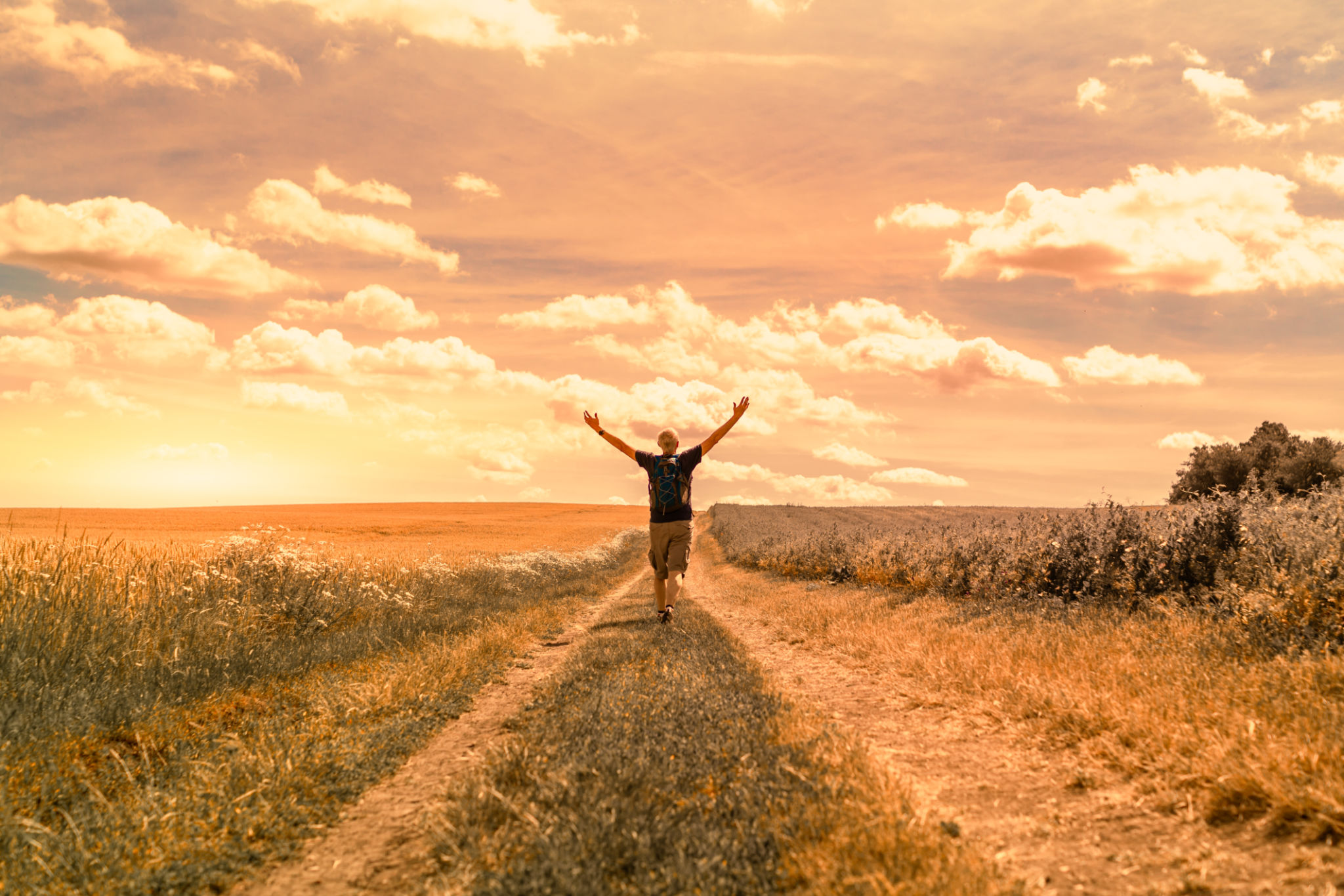 Man walking on country road on a sunny summer day. Man walking on country road on a sunny summer day.