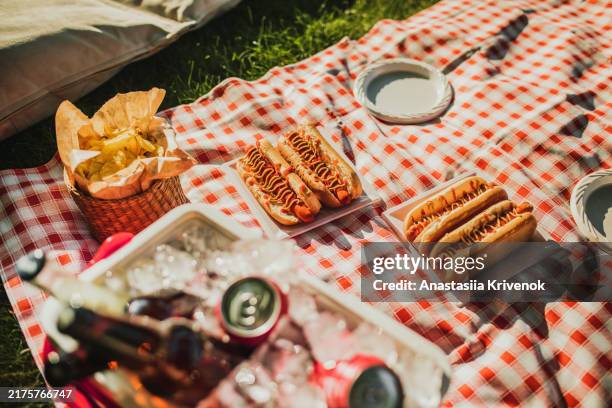cozy picnic with hot dogs, chips and portable cooler with drinks. - picnic basket stock pictures, royalty-free photos & images
