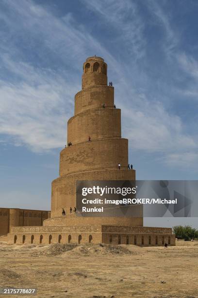 spiral minaret of the great mosque of samarra, unesco site, samarra, iraq, asia - grande mosquée photos et images de collection