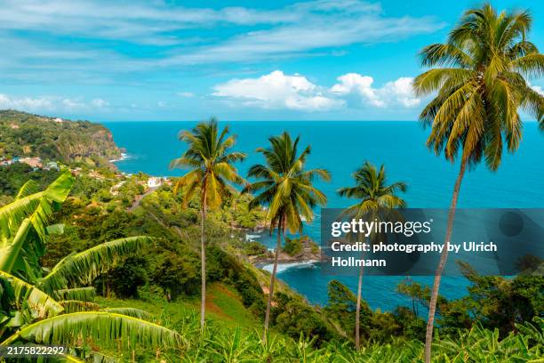 east coast on the caribbean island of dominica - caribbean sea stock pictures, royalty-free photos & images
