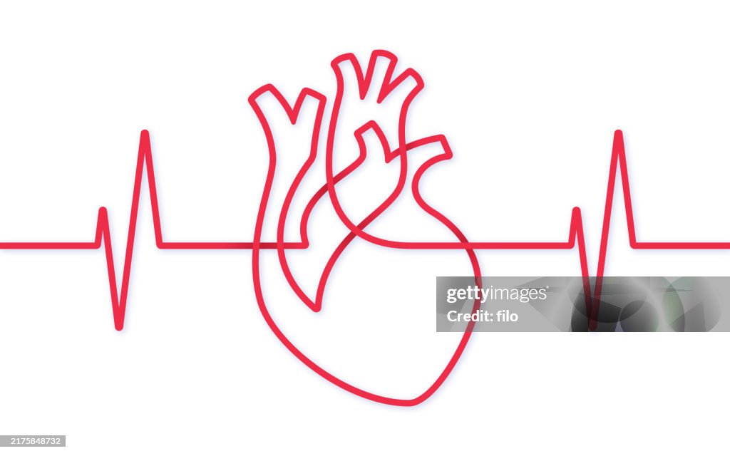 Heart Health Pulse Trace Heartbeat White Background
