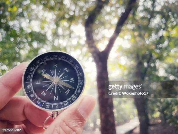compass - holding compass stock pictures, royalty-free photos & images