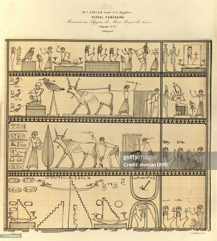 History Ancient Egyptian Hieroglyphs Script Writing Funeral Ritual ...