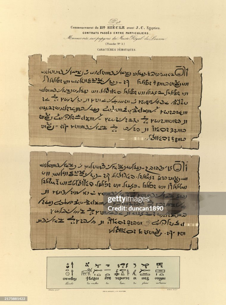 Ancient Script Sample History Contracts Ancient Egyptian Hieroglyphs Script Writing 2nd ...
