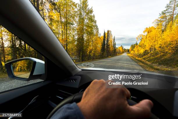 perspective of a person driving autumn road - steering wheel stock pictures, royalty-free photos & images