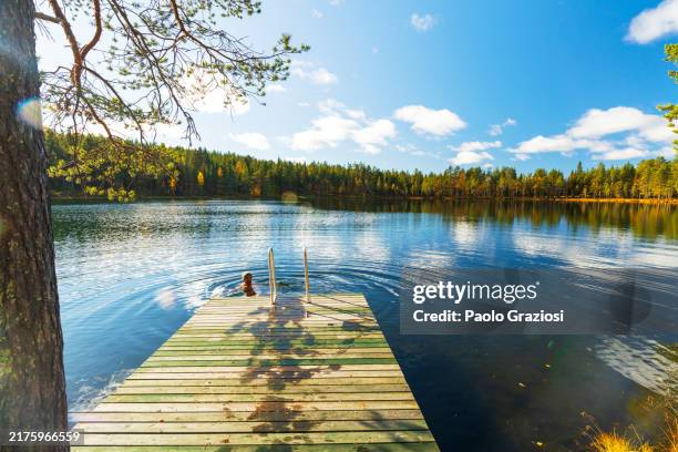 man swimming in the lake in a sunny day - finnish sauna stock pictures, royalty-free photos & images