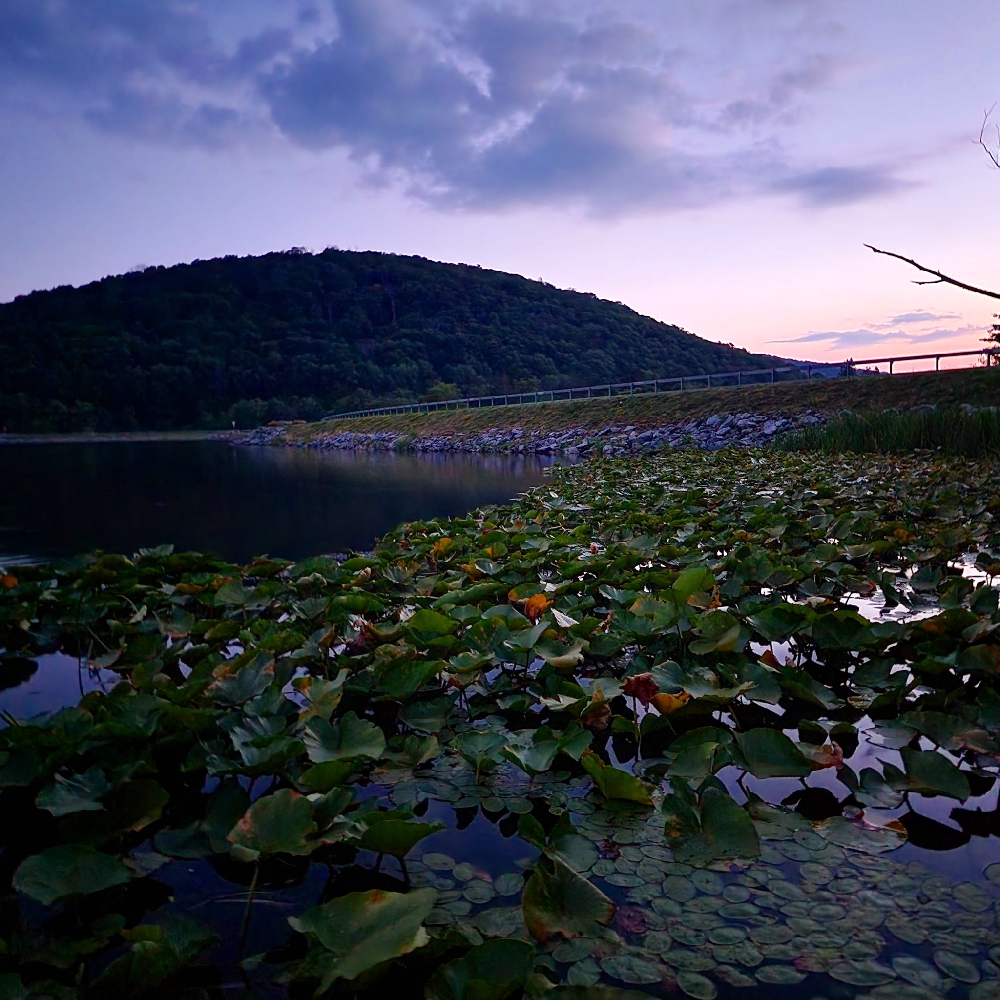 allegany county summer