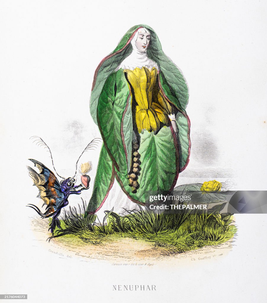 White water lily - Stunning Hand-colored plate from "Les Fleurs Animees by J.J.Grandville 1867