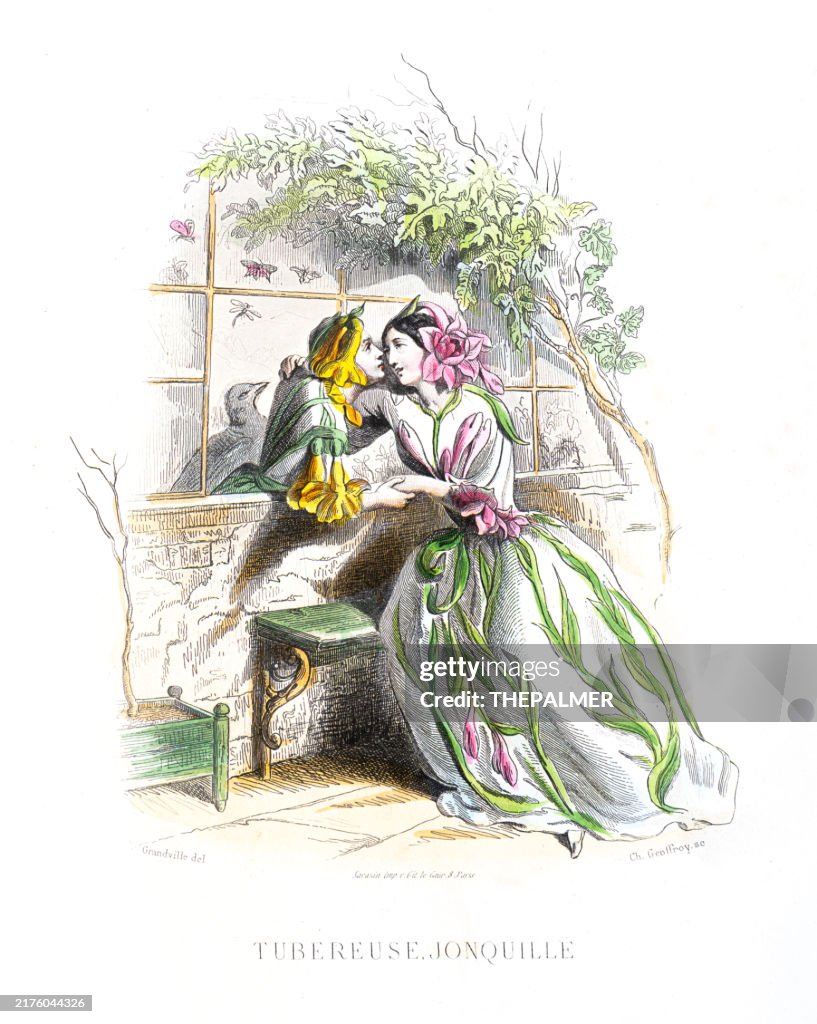 Tuberose Daffodil- Stunning Hand-colored plate from "Les Fleurs Animees by J.J.Grandville 1867