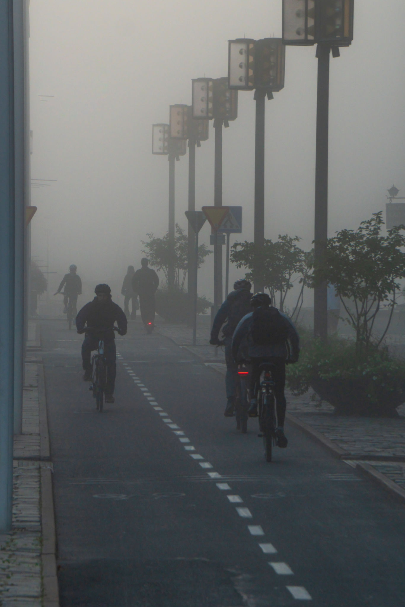 cyclist in stockholm