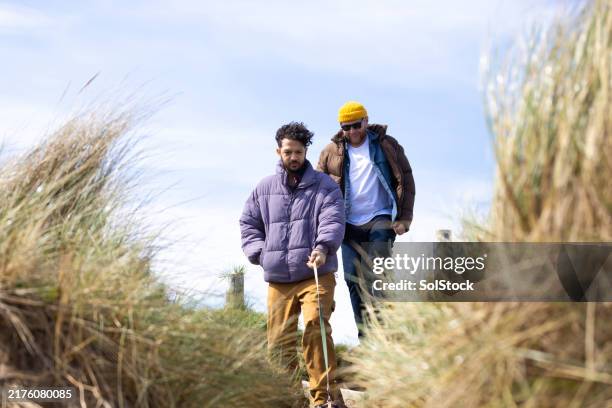 couple walking with dachshund in alnmouth dunes! - gay couple back lit stock pictures, royalty-free photos & images