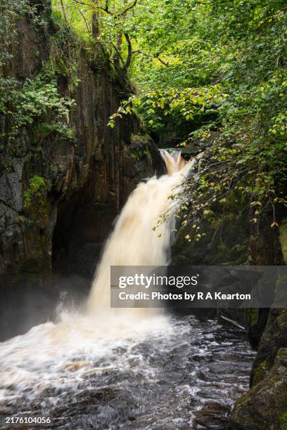 Ingleton Waterfall Walk North Yorkshire England, Photo