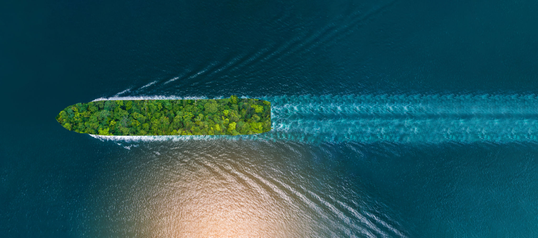 sustainable cruise ship