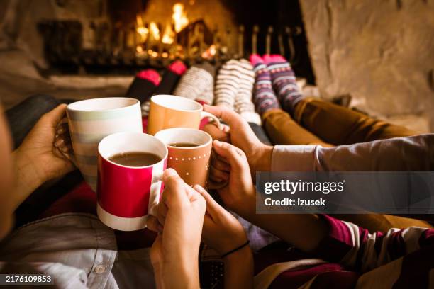 friends sitting by the fireplace - haardvuur stockfoto's en -beelden